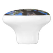 White Blossom Cluster Frühlingsblühende Birnbaum Keramikknauf (Seitenansicht)