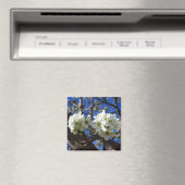 White Blossom Cluster Frühlingsblühende Birnbaum Magnet (In Situ (Geschirrspüler))