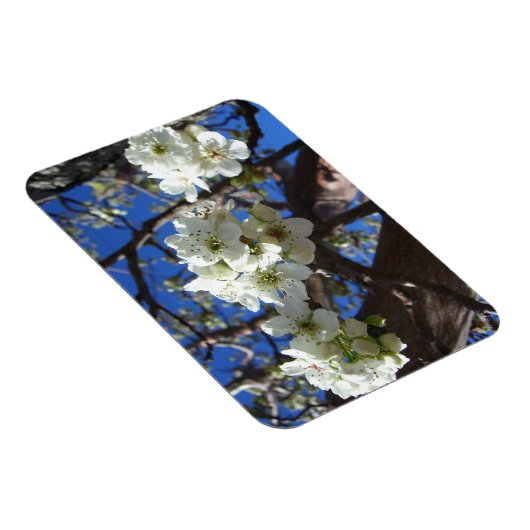 White Blossom Cluster Frühlingsblühende Birnbaum Magnet (Rechte Seite)