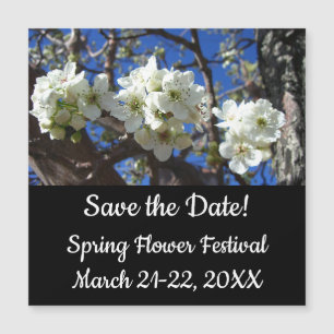 White Blossom Cluster Frühlingsblühende Birnbaum Magnetkarte