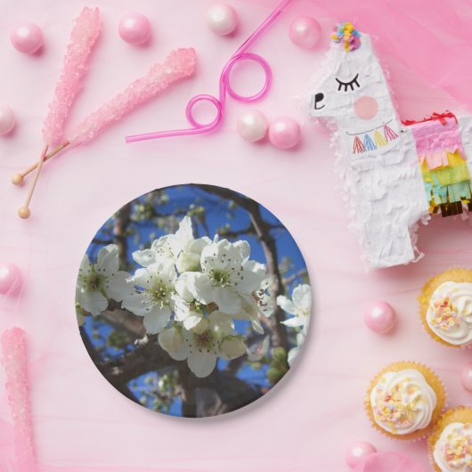 White Blossom Cluster Frühlingsblühende Birnbaum Pappteller (Party)