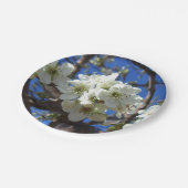 White Blossom Cluster Frühlingsblühende Birnbaum Pappteller (Schrägansicht)