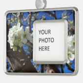 White Blossom Cluster Frühlingsblühende Birnbaum Rahmen-Ornament Silber (Links)