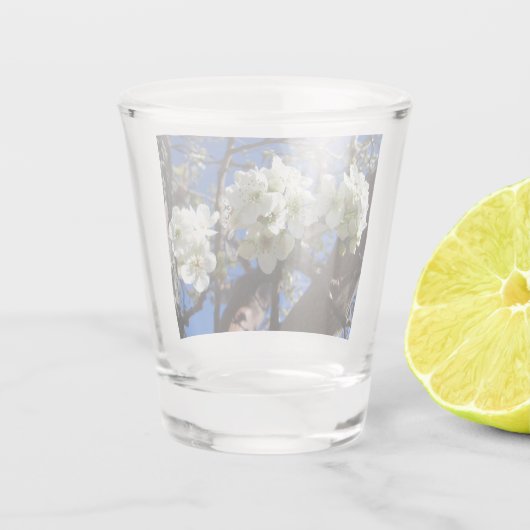 White Blossom Cluster Frühlingsblühende Birnbaum Schnapsglas (Rückseite)