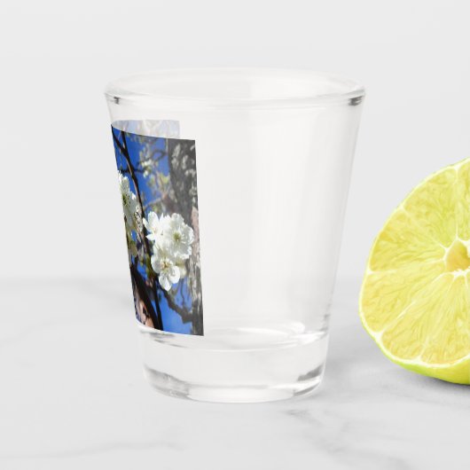 White Blossom Cluster Frühlingsblühende Birnbaum Schnapsglas (Rechts)