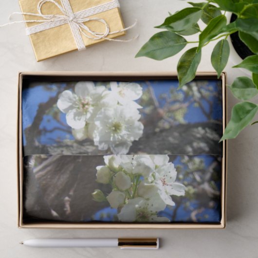 White Blossom Cluster Frühlingsblühende Birnbaum Seidenpapier (Geschenk)