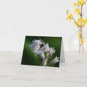 White Bluebell Note Card Karte (Gelbe Blume)