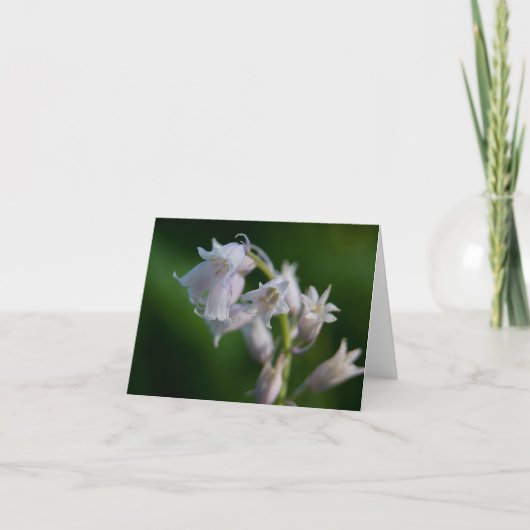 White Bluebell Note Card Karte (Vorderseite)