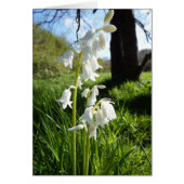 White Bluebells Blank Note Card (Vorne)
