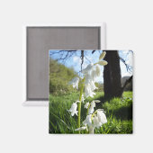 White Bluebells Magnet (Vorderseite/Rückseite)