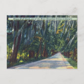 White Bluff Rd Beautiful Dr. Savannah GA Historic Postkarte (Vorderseite)