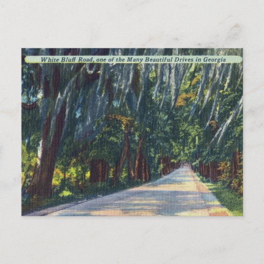 White Bluff Rd Beautiful Dr. Savannah GA Historic Postkarte (Vorderseite)