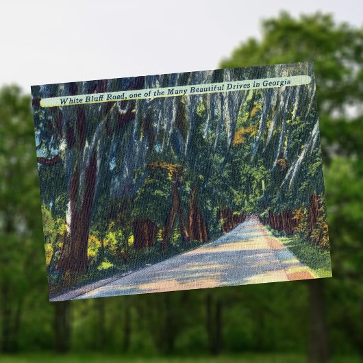 White Bluff Rd Beautiful Dr. Savannah GA Historic Postkarte