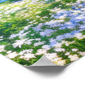 White Blume Haven Poster (Ecke)