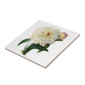 White Blush Peony von Pierre Joseph Redoute Fliese (Seite)