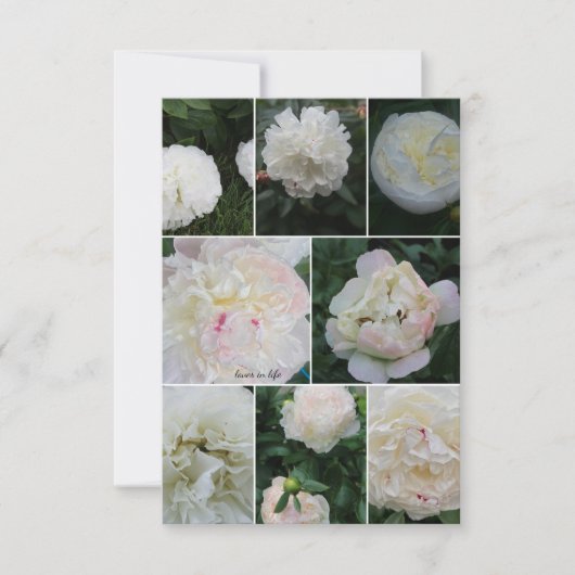 White Blushing Peony Collage Mitteilungskarte (Vorderseite)