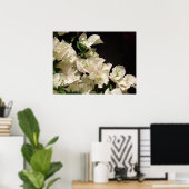 White Bougainvillea Blume Poster (Heimbüro)