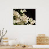 White Bougainvillea Blume Poster (Küche)