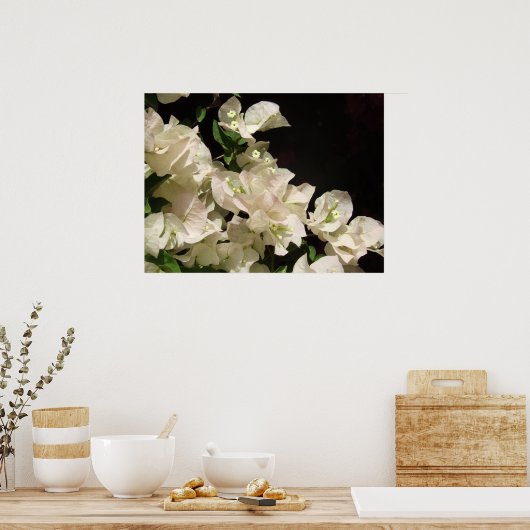 White Bougainvillea Blume Poster (Küche)
