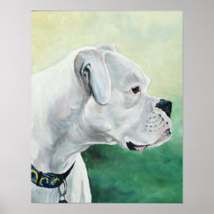 White Boxer Dog Art Print Poster