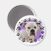 White Boxer Foto Magnet (Vorderseite/Rückseite)