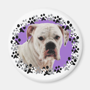 White Boxer Foto Magnet