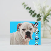 White Boxer Foto Postkarte (Stehend Vorderseite)