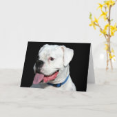 White Boxer Grußkarte Karte (Gelbe Blume)