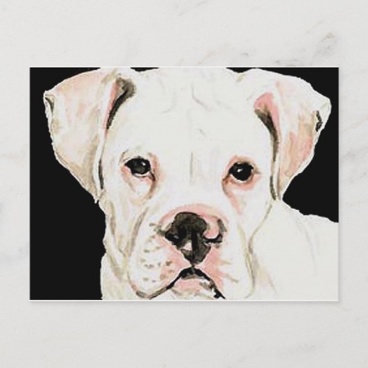 White Boxer Original Hund Postkarte (Vorderseite)