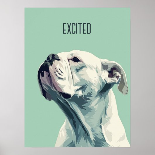 White Boxer Poster (Vorne)