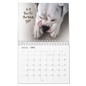 White Boxer Wall Calendar Kalender (Jan 2026)