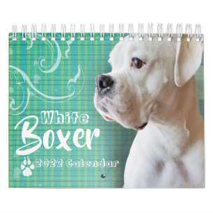 White Boxer Wall Calendar Kalender