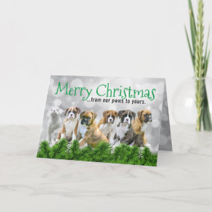 White Boxer Welpen - Frohe Weihnachtshunde Dankeskarte