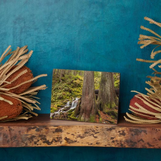 White Branch Falls, Oregon Cascades, Oregon Fotoplatte (Seite)