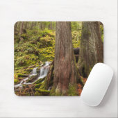 White Branch Falls, Oregon Cascades, Oregon Mousepad (Mit Mouse)