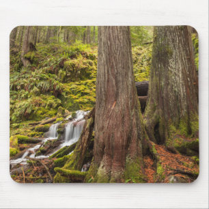 White Branch Falls, Oregon Cascades, Oregon Mousepad