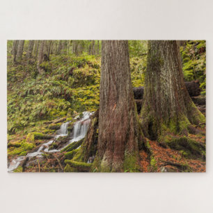 White Branch Falls, Oregon Cascades, Oregon Puzzle