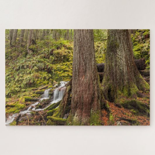 White Branch Falls, Oregon Cascades, Oregon Puzzle (Horizontal)