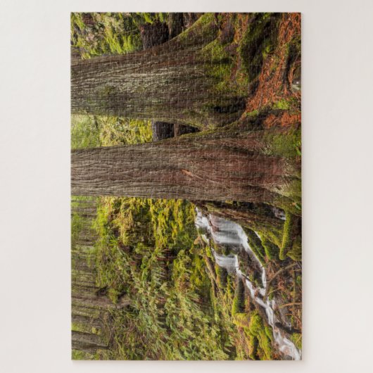 White Branch Falls, Oregon Cascades, Oregon Puzzle (Vertikal)