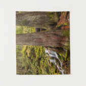 White Branch Falls, Oregon Cascades, Oregon Wandteppich (Vorderseite)