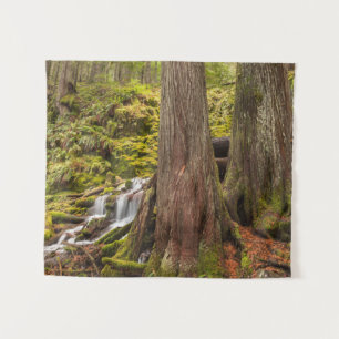 White Branch Falls, Oregon Cascades, Oregon Wandteppich