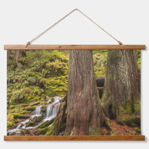 White Branch Falls, Oregon Cascades, Oregon Wandteppich Mit Holzrahmen