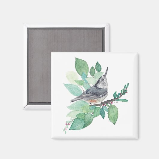 White Breastch Nuthatch Bird Art Magnet (Vorderseite/Rückseite)
