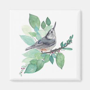 White Breastch Nuthatch Bird Art Magnet