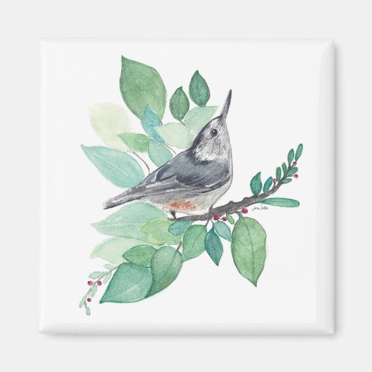 White Breastch Nuthatch Bird Art Magnet (Vorne)
