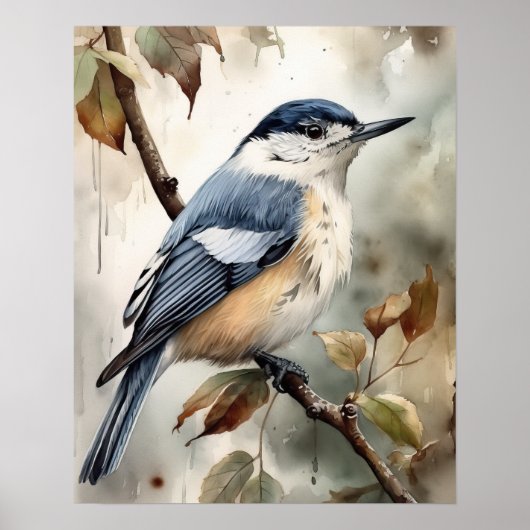 White Breastch Nuthatch Bird Art Print Poster (Vorne)