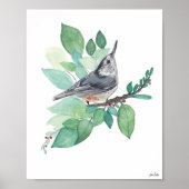 White Breastch Nuthatch Bird Art Print Poster (Vorne)