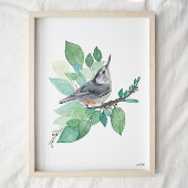 White Breastch Nuthatch Bird Art Print Poster