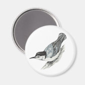 White Breastch Nuthatch Magnet (Vorderseite/Rückseite)