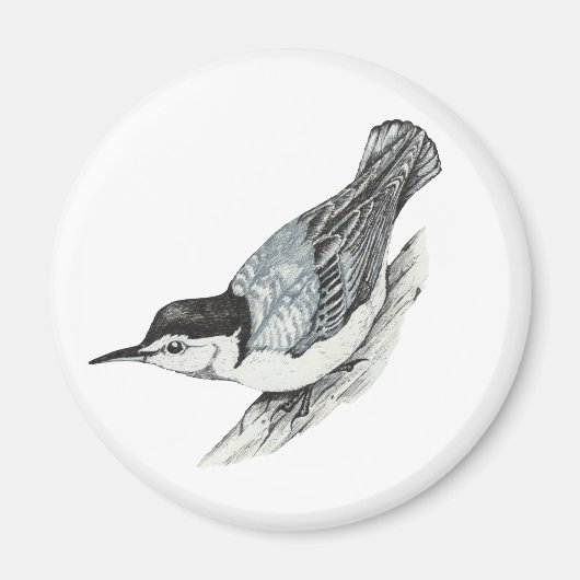 White Breastch Nuthatch Magnet (Vorne)